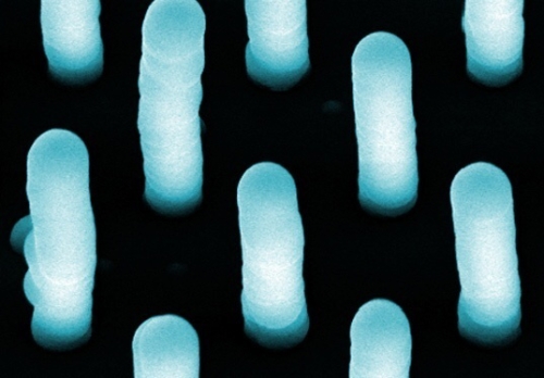 Abb. 6 Anordnung der Nanoröhren im Material Buckypaper