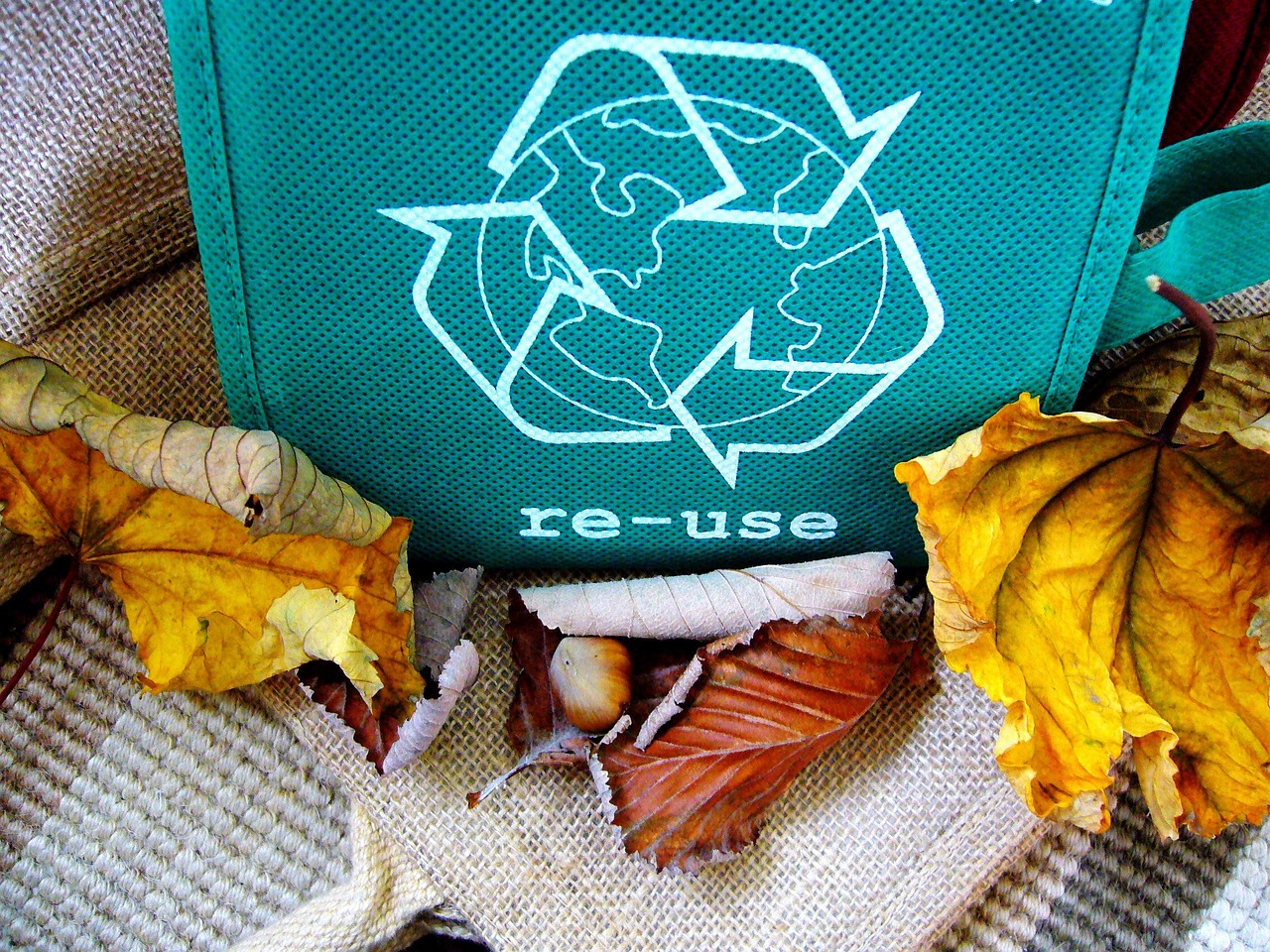Recycling Recycling