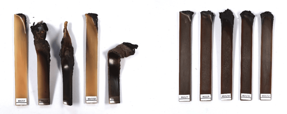 Strahlenvernetztes, flammgeschütztes PA 11 ohne (links) und mit (rechts) Holzpartikeln nach der Prüfung gemäß UL 94. ©Fraunhofer WKI